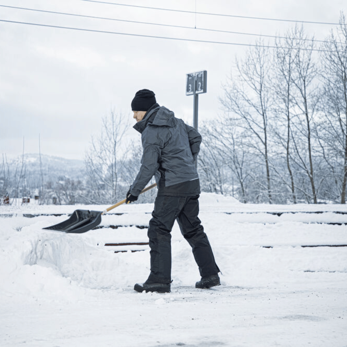 ProJob Fôret Bukse - Bilde 11