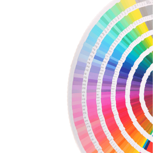 Profilioo pantone colors illustration